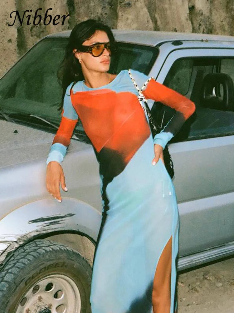 See Through Mesh Maxi Dress Women Long Sleeve Bodycon