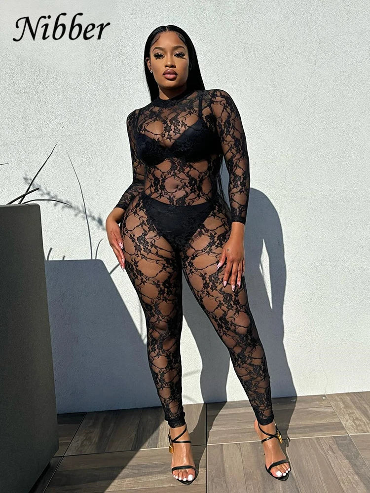 Stylish Nibber Lace Mesh Sexy Sheath Jumpsuit for Women, long sleeve see-through design in midnight coquette style.
