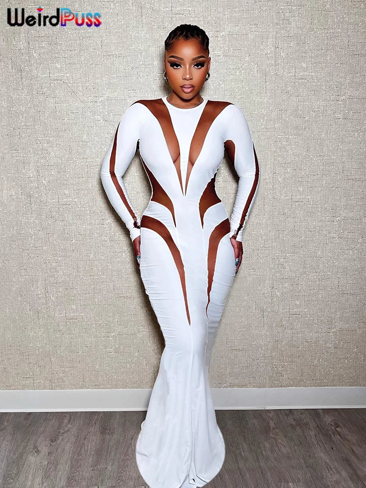 Mesh Patchwork Bodycon Maxi Dress Women O Neck Long Sleeve