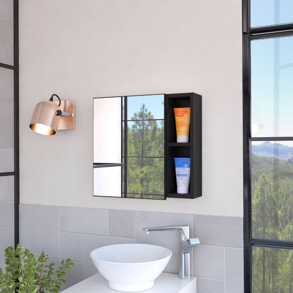 Myrick 2-Shelf Medicine Cabinet with Mirror Black Wengue