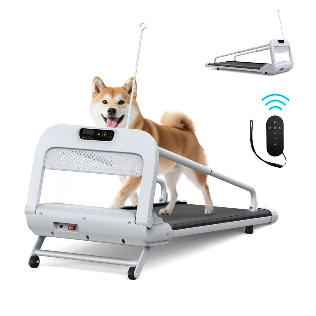 New Quiet Smart Pet Treadmill, Adjustable Speed, Perfect for Small/Medium Dogs