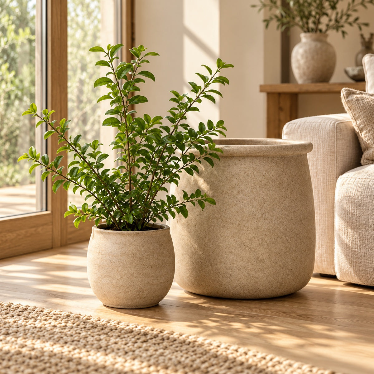Planter pair beside a sofa in a sunlit living room