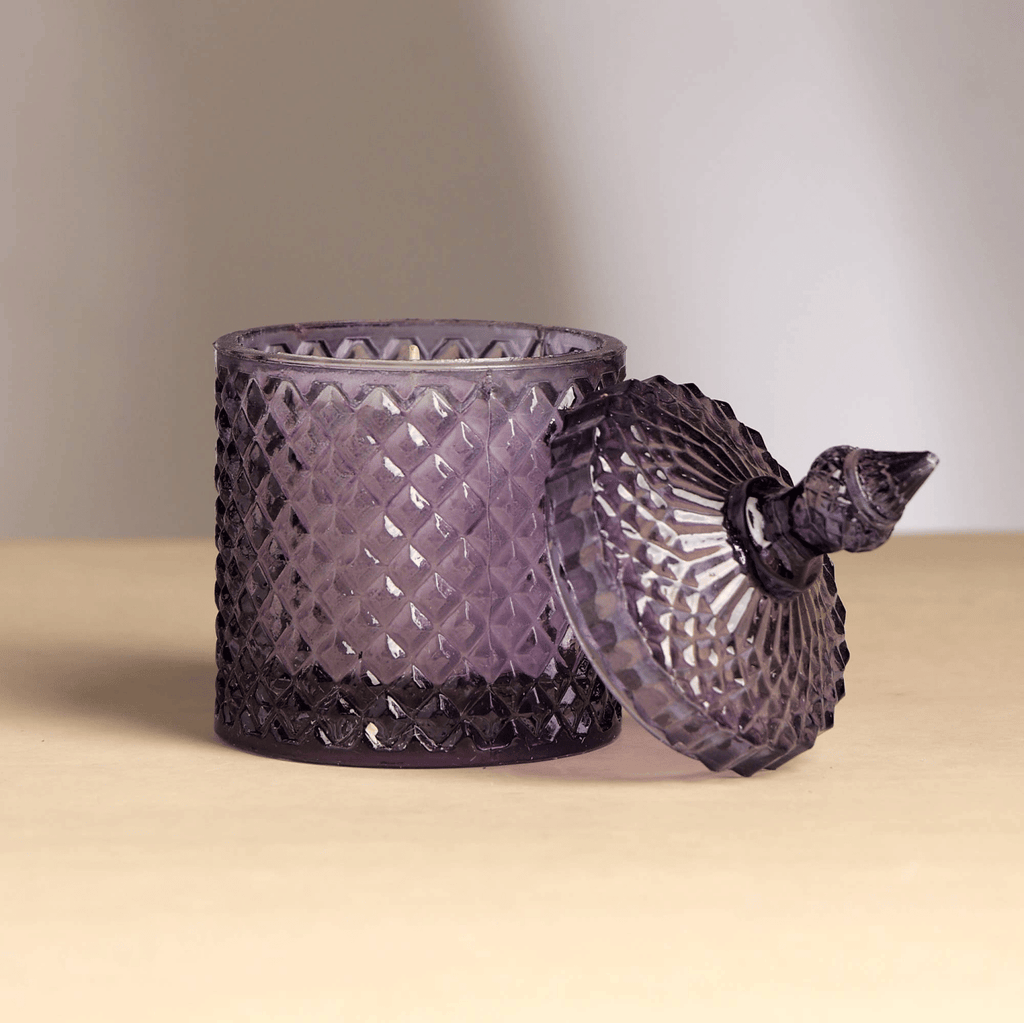 Plush Radiance Scented Wax Candle
