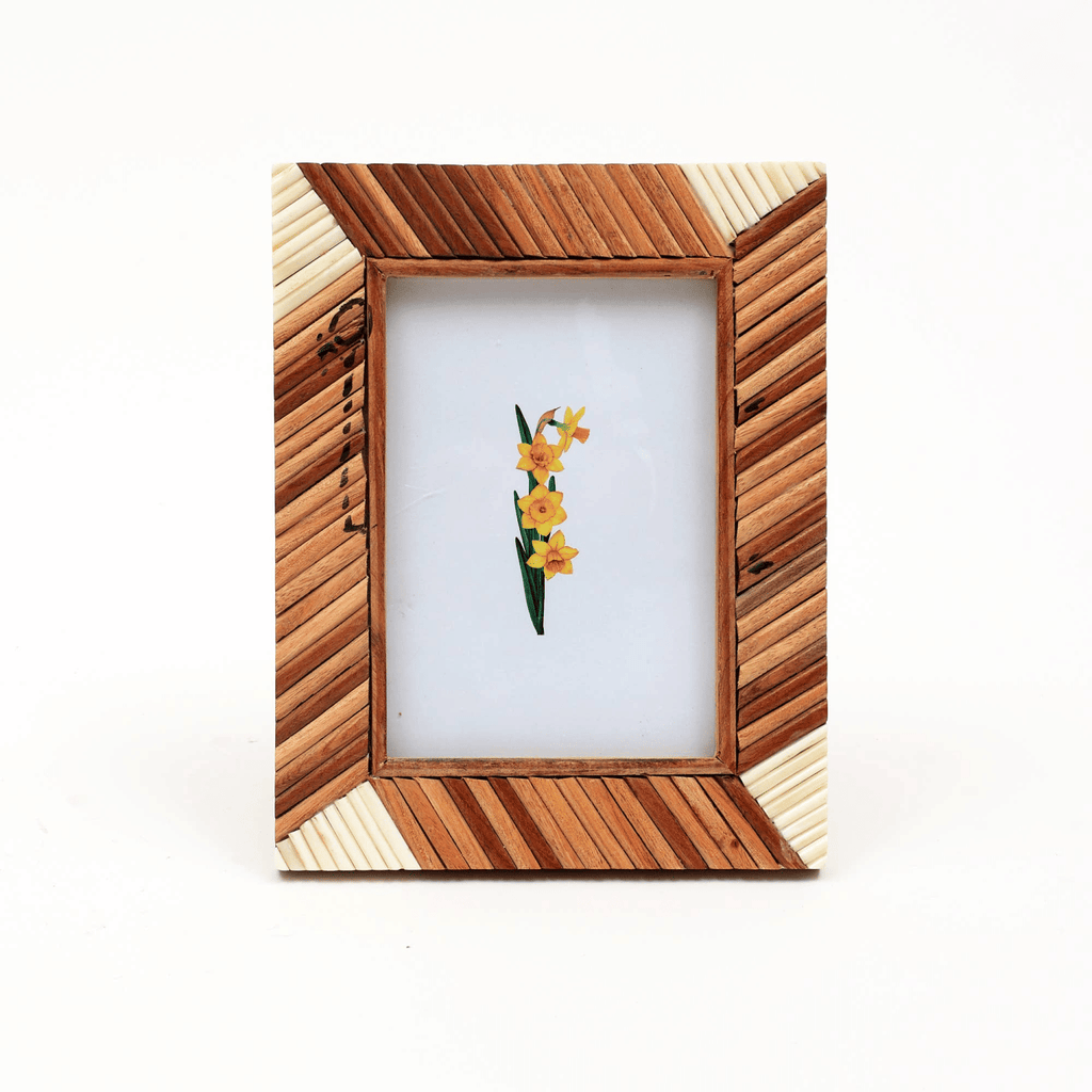 Symmetry Spectrum Picture Frame