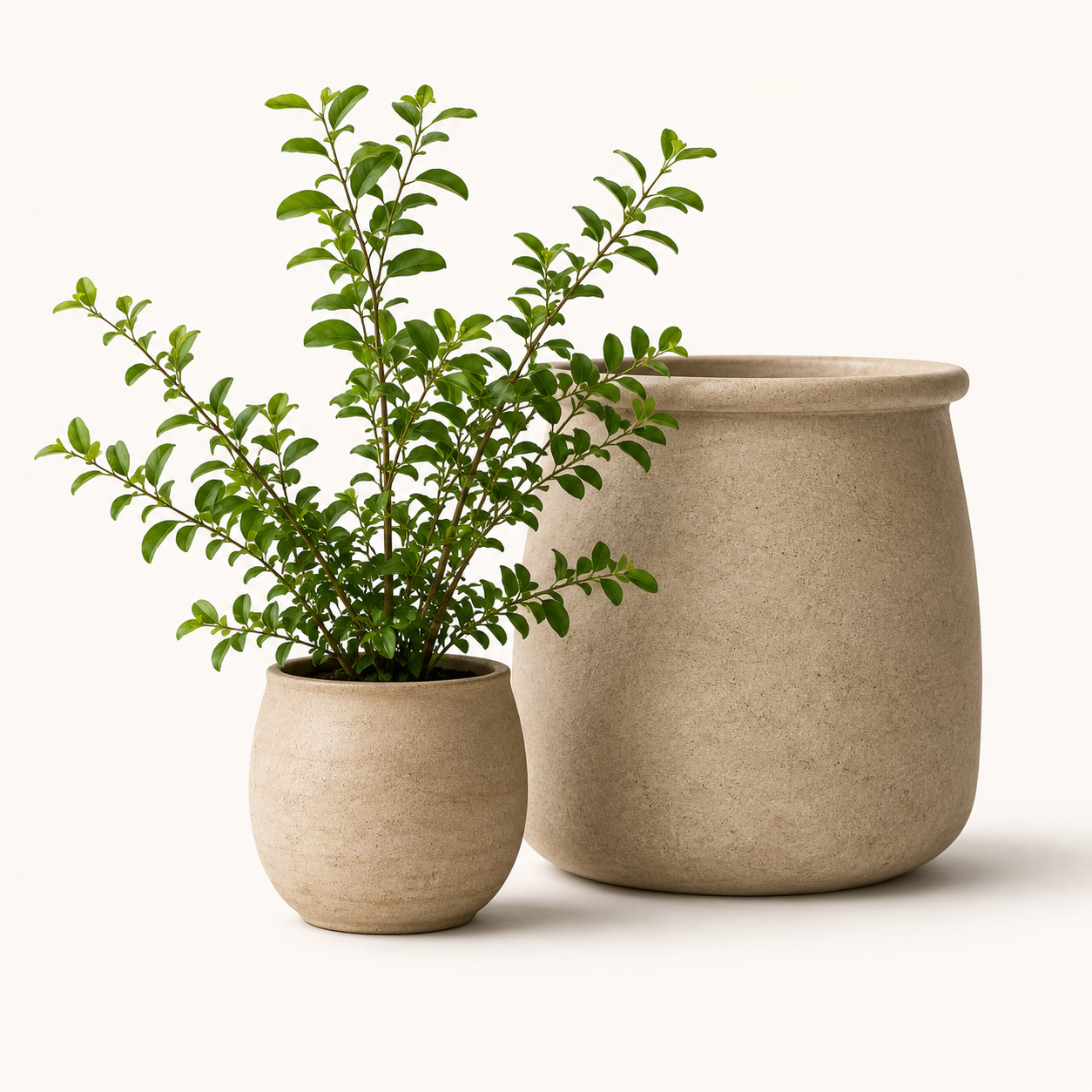 Instagram planter pair styling